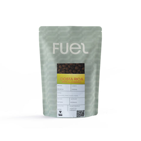 Filter Costa Rica Black Honey Geisha 250 grams