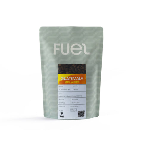 Filter Guatemala Geisha 250 grams